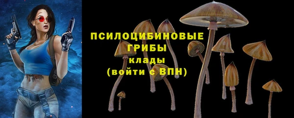 прущие грибы Богданович