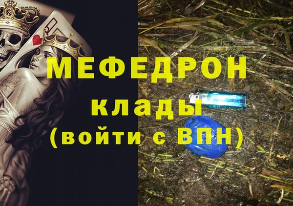 прущие грибы Богданович