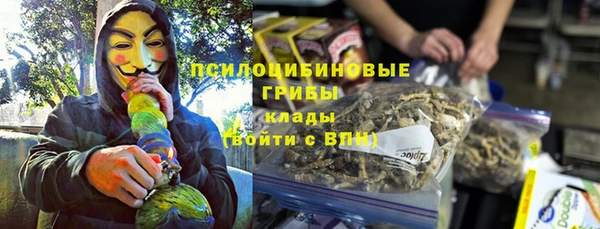прущие грибы Богданович