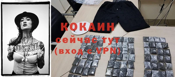 прущие грибы Богданович