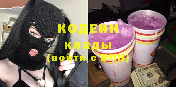 прущие грибы Богданович