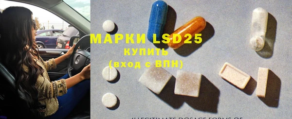 прущие грибы Богданович