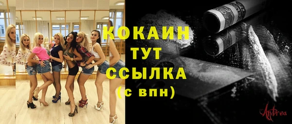 прущие грибы Богданович