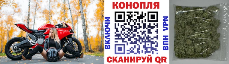 сколько стоит Малоярославец площадка состав Конопля OG Kush